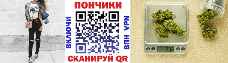 Марихуана сатива  Шахунья 
